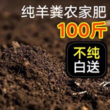 ����S�����100�︯�����S�l�̈́���ʺ�ЙC���߲˻�������ͨ��