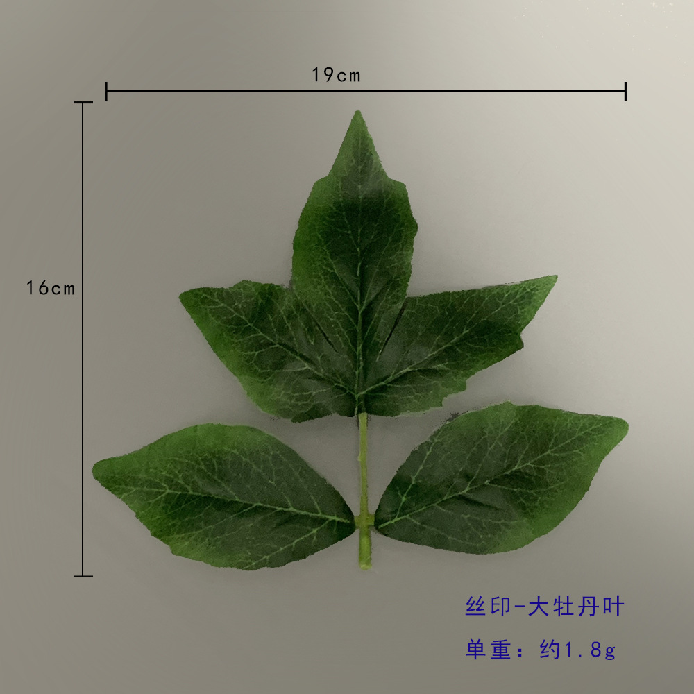 큰 모란 잎