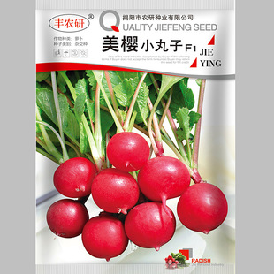 �s�������}���N�� ��ϵ���� �͟��ͳ�̦�����}���� �߲˷N��5��