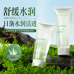 Zhengcai Curacao Aloe Vera Scrub Transparent Gel after Sun Soothing Skin Hydrating Moisturizing Skin Care Products Manufacturer Ready Stock