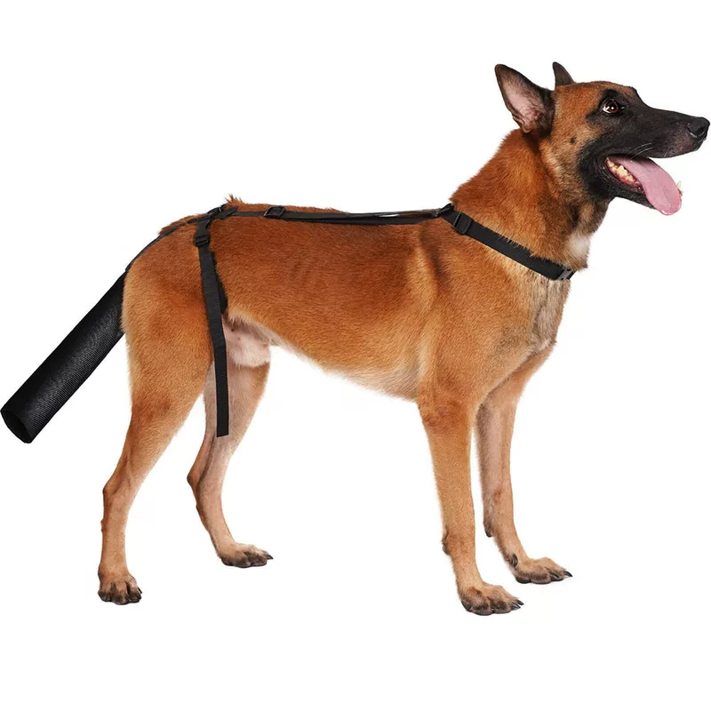 Cross-border dog tail hair loss care, injury repair, anti-licking and biting, adjustable wearable universal protective model