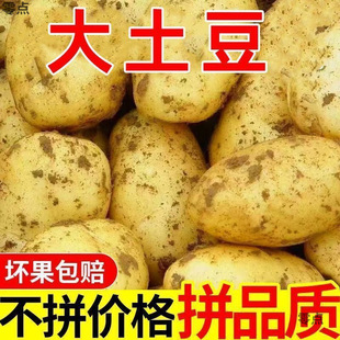 �SƤ�������r�F���R������󮔼��߲������������l��Ŵ���^���l