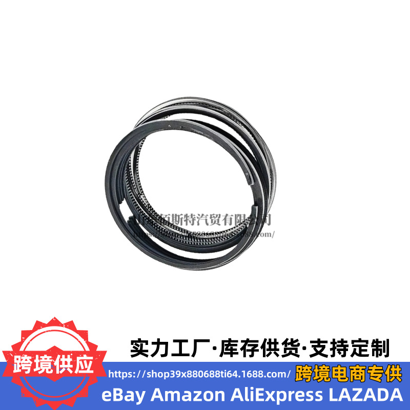 23040-2F930 is suitable for Hyundai Kia engine piston ring 23040 2F930 230402F930