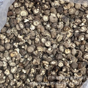 2-3���Ģ����؛���l ����ÓˮС�㹽���ˬ�� ���_���X��ʳ�þ�