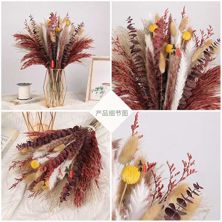 Amazon Wholesale Reed Preserved Fresh Flower Bouquet Finished Christmas DIY Decoration Ornaments PAMPAS Grass Dried Reed Flower