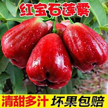 福建红宝石莲雾果代发新鲜水果带箱仙女果黑珍珠多汁当季水果孕妇