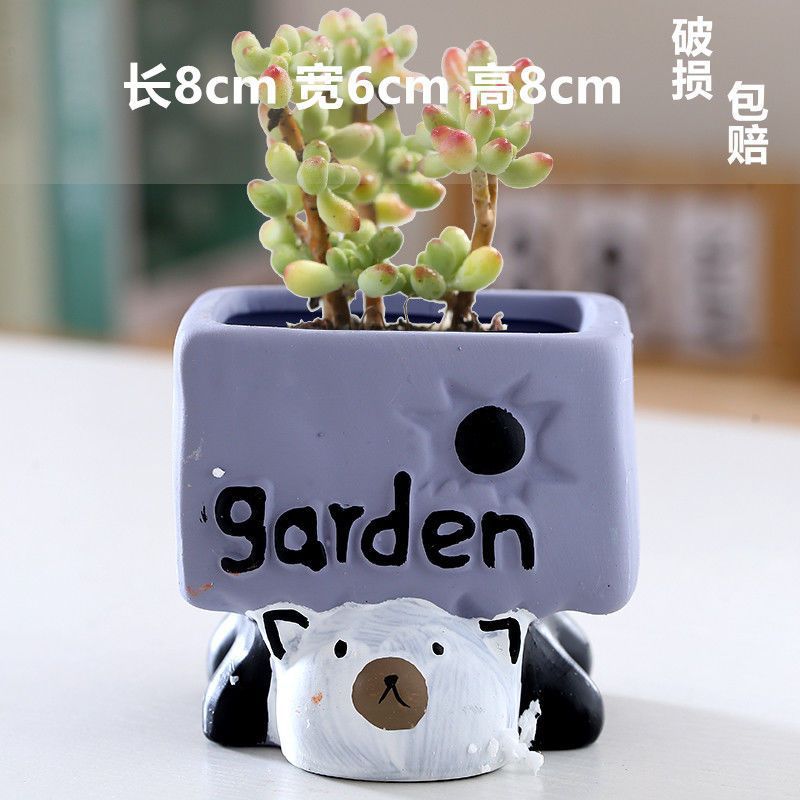 Macetas de cerámica para suculentas con diseño de animales de dibujos animados, pequeño tamaño, para estante de flores en casa, suministro al por mayor