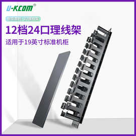 2U 19英寸12档24口机柜塑料理线架 机柜轻型综合布线线缆理线器