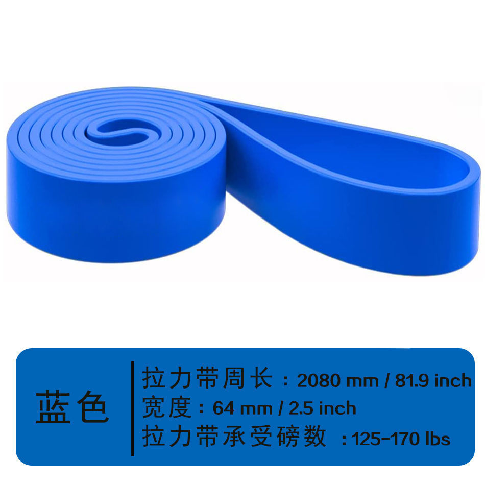 파란색 [65-175lbs] 프로페셔널 풀업