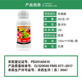 Соединенные Штаты Фамеи, развевающийся Hypye Cycus Grey плесень