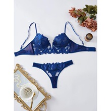 Q 33408 French Lace Embroidered Underwear ��ʽ��������