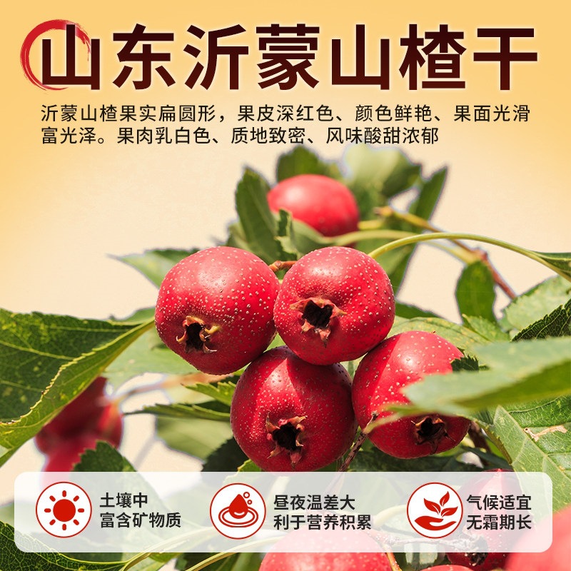 Premium Dried Hawthorn Slices Shan Zha 山楂 Seedless Hollow Rings for Tea and Infusions 3 Bags x 200g key features