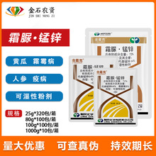 K񻯹˪72%˪i\˪ɭi\˪ù߲