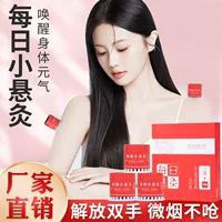 Семейная подвесная трубка для прижигания без дыма, ежедневная маленькая подвесная коробка для прижигания, портативная коробка для прижигания с микродымом, коробка для прижигания с контролем температуры