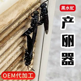 猫猫零食;观赏鱼饲料;仓鼠零食