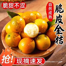 ���lС��ۏV�����ˮ���Fժ������ְ��]С������r������Ƥһ��