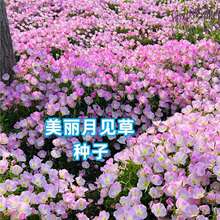 ������Ҋ�ݻ��N���ļ����N�װlѿ�׻���̨�����҃���ͥԺ����