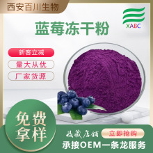 食品原料蓝莓冻干粉支持拿样冻干工艺 蓝莓低温冷冻干燥粉1kg起订