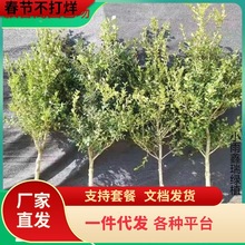 һlUSزͺС~SߗU䘶ͥԺG