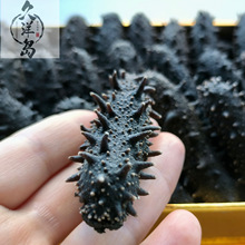 【海参工厂】大连辽参淡干海参干货水产一件代发50g滋补品