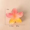 Summer romantic egg flowers style cross -border hair grab women in Europe and America in flower hairpin back head plate hair accessories