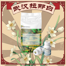 �仯�p��A���仯�p�� HBPA 80-04-6��1kg 1�����ǰ�����r��