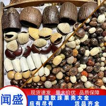 天然果壳风铃创意手工DIY挂件各种菩提子散珠民族风摇铃水铃桐