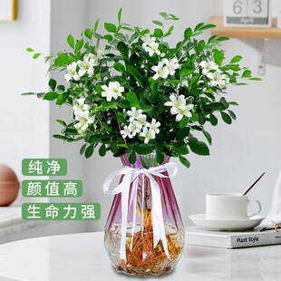 ����������ֲ���҃Ȼ��ܺ��B�辰����������ļ���������_������