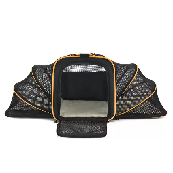 Black Pattle Orange