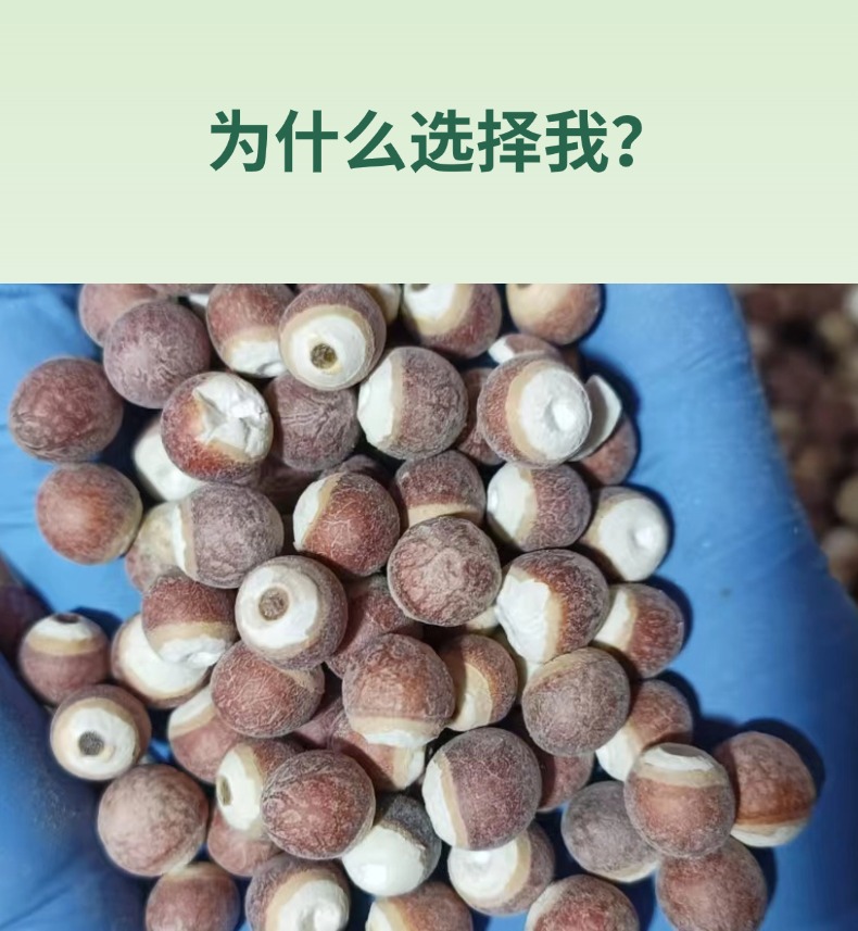 Dried Euryale Ferox Seeds Qian Shi 500g Chinese Herbal Food Grain key features