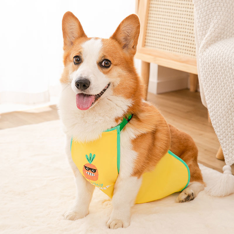 Pet Corgi perro especial bellyband ropa de protección del vientre cachorro impermeable anti-sucio anti-frío verano Delgado