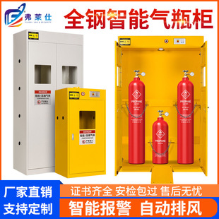 Laboratory Intelligent All-Steel Gas Cylinder Cabinet with Alarm Steel Cylinder Cabinet Acetylene Hydrogen Gas Safety Cabinet Explosion-Proof Gas Cylinder Cabinet