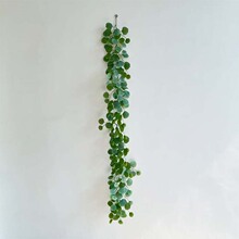 ��������~�羳���l�������ʒ���ٗl��Y���������b[������