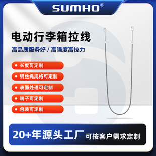 Customized 304 Stainless Steel Lanyard Suitcase Door Lock Control Cable Electric Suitcase Pull Cord