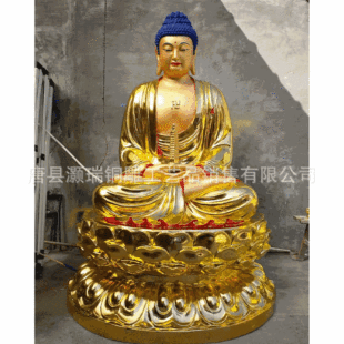 �S���T���80�����^�������_�[���R�~�^�����_�[��
