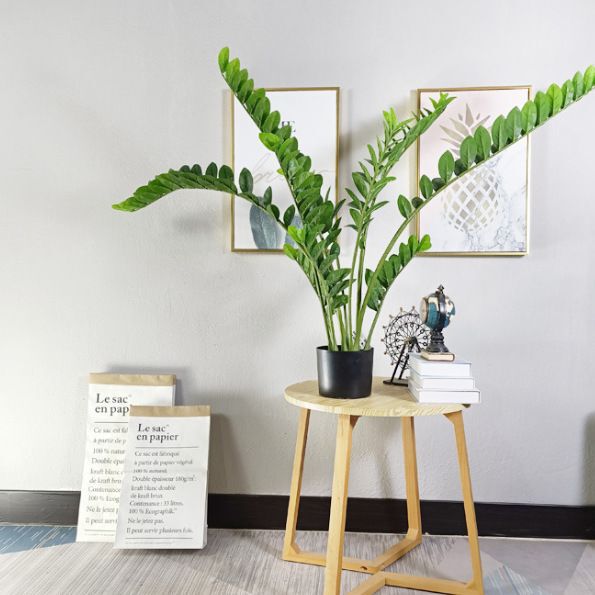 Artificial money tree bonsai lucky tree artificial tree green plant bonsai artificial money leaf indoor living room decoration ornaments