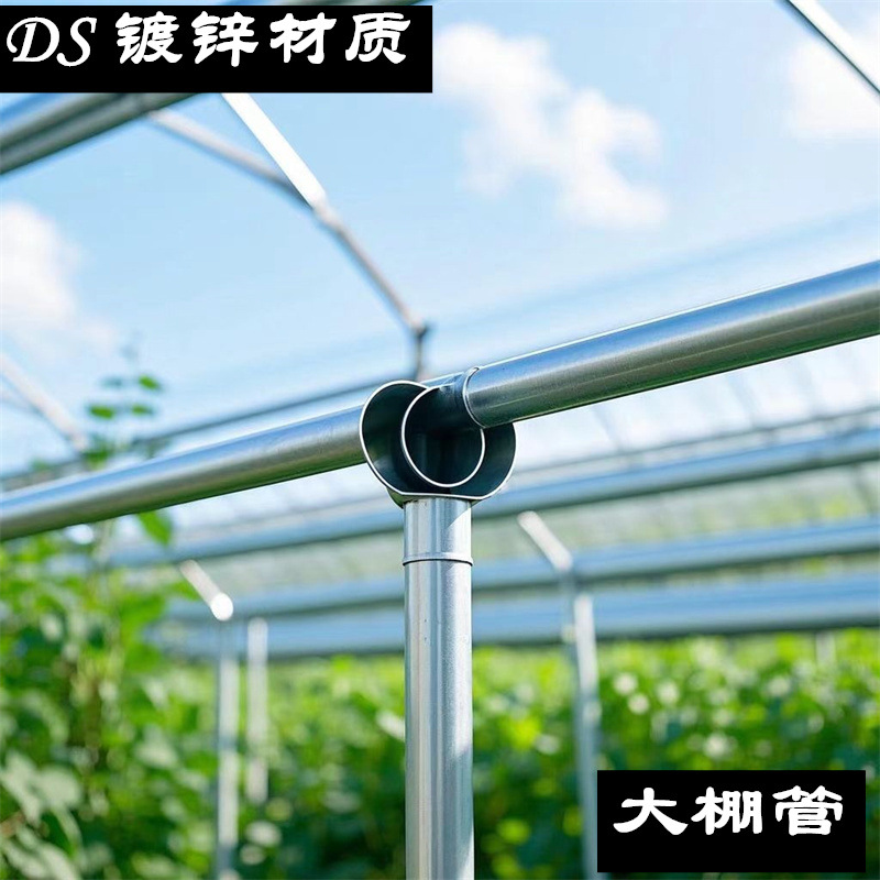 龙骨大棚管现货 供应 育苗温室大棚用热镀 锌圆管 椭圆管折弯加工