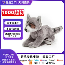 ���޶���ؐ�`�D̩����ϵ��ë�q��߷������Ұ�������D��Ӷ���