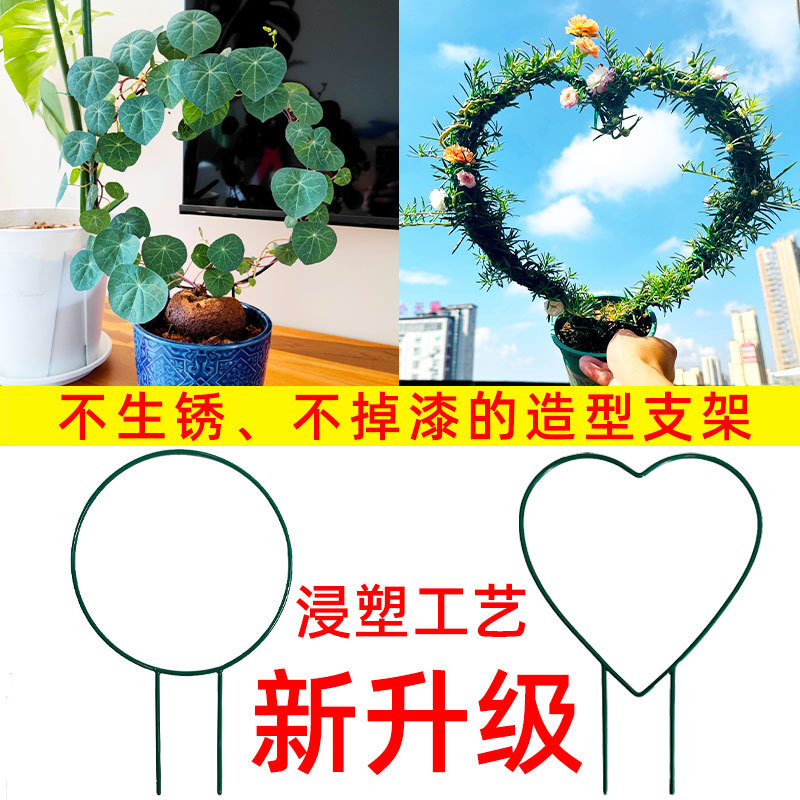 室內愛心形植物攀藤山烏龜甲龍鐵線蓮花架爬藤小支架子支撐杆鐵藝