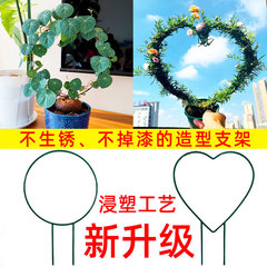 室內愛心形植物攀藤山烏龜甲龍鐵線蓮花架爬藤小支架子支撐杆鐵藝