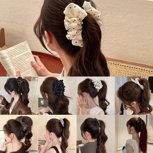 �����㽶�A���Rβ�̶��A��2026�¿�l�A�A�Ӹ߼��ЙM�A�l��ŤŤ�A