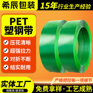 Manufacturers Supply 1608Pet Plastic Steel Packing Belt 1609 Manual Packing Belt Bulk Wholesale Green Strapping Belt