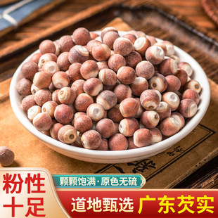 ��ș�����l���� �͌��r���u�^�װ���w�͌����ĥ�͌��۟o����؛