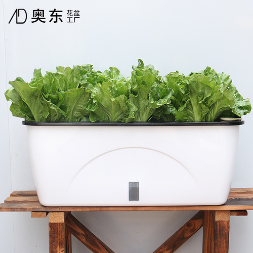 Automatic Water-absorbing Lazy Person Plastic Planter with Double Layer, Large, Rectangular, Visible Water Level Window for Growing Strawberries on Balcony