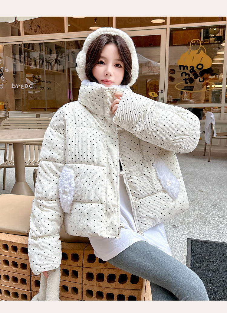 5373_13.jpg