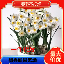 һ�����lˮ�ɻ��N�������ذ���ˮ�ɴ����������ܶ����҃��ͺ�ˮ�B