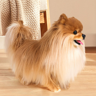 ����2026���沩��Ȯ������żë�q��߹���Ů�����Y�＃��ɫ����