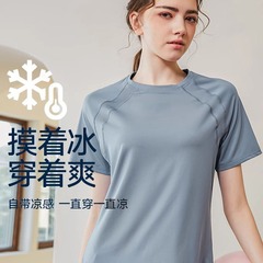 Relaxed Quick-Dry Women's Sports Top 2024 Summer New Short-Sleeve T-Shirt Yoga Running Training Plus Size Slimming Fitness Clothing