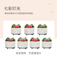 Simulated Plant Bluetooth Music Flame Aromatherapy Humidifier USB Smart Remote Diffuser Large Capacity Aromatherapy Machine