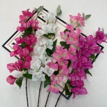 ���滨С��֧����÷�ٻ��ѻ�÷���һ�֦�ٻ��l��c��Y�þW�t����
